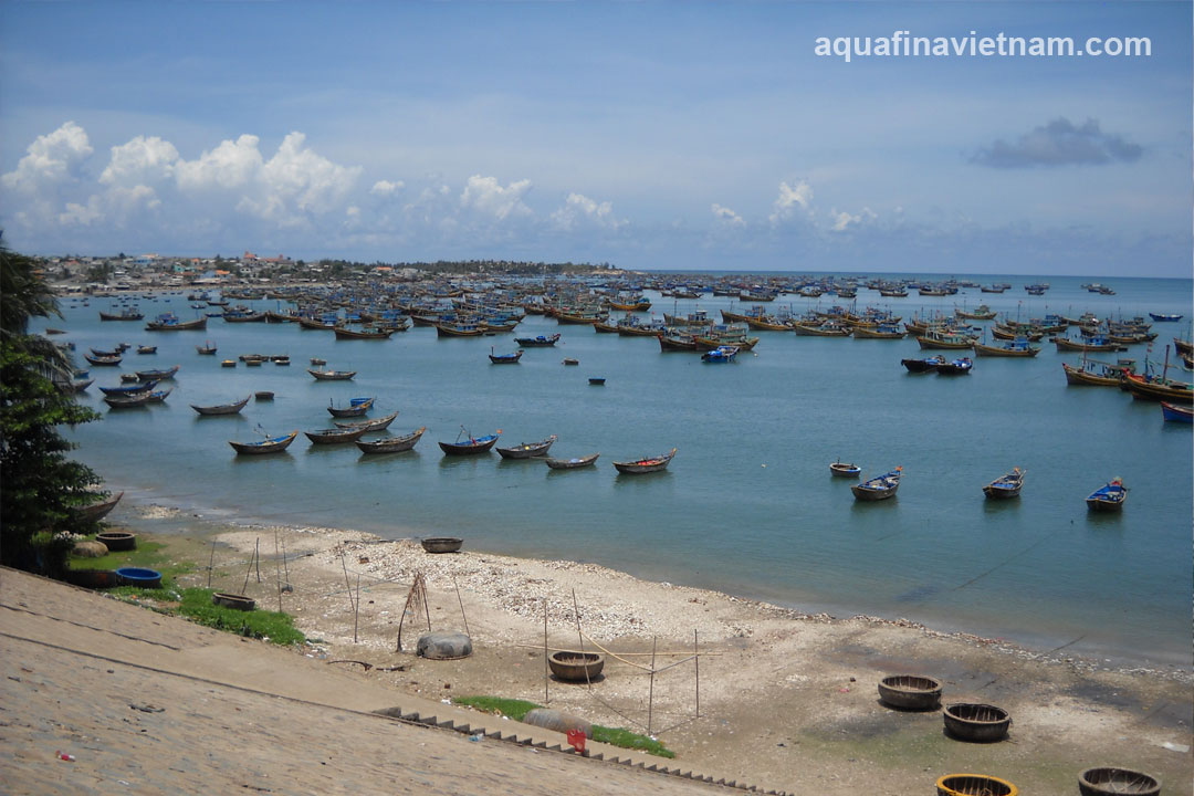 Top 5 đại lý nước Aquafina uy tín tại Bình Thuận